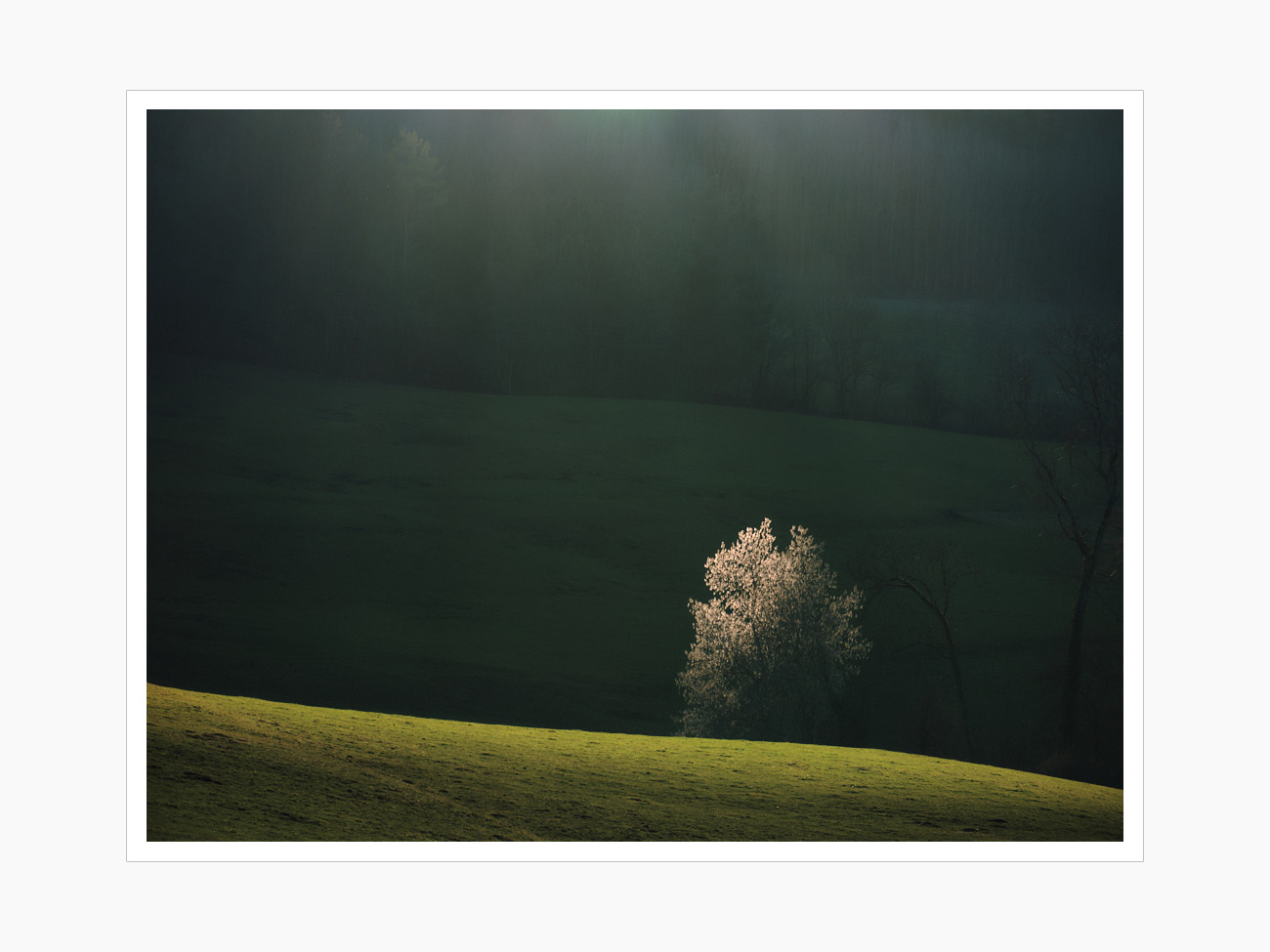 Max Schiefele Alle Bilder  DSF5419